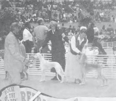 Golden Gate Kennel Club, 1998